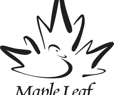 Maple Leaf.png